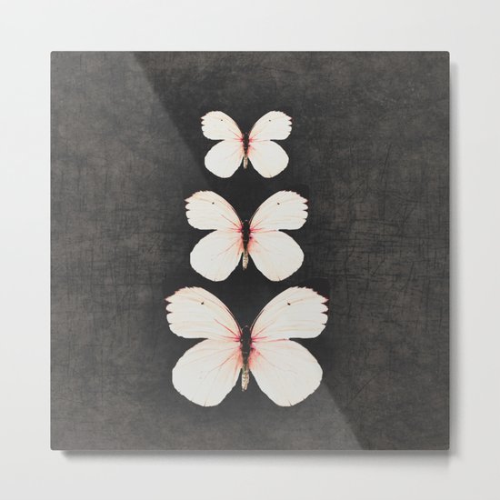 three pink butterflies Metal Print