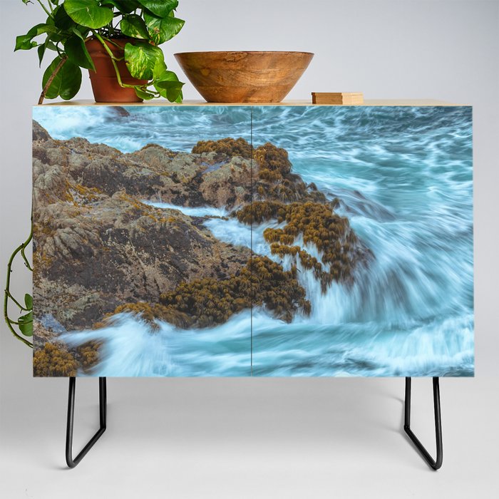 Sea Palms and Waves Credenza
