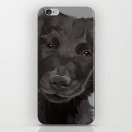 Olive the black dog iPhone Skin