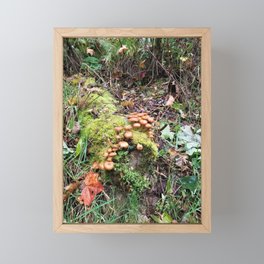Forest Fungi Framed Mini Art Print