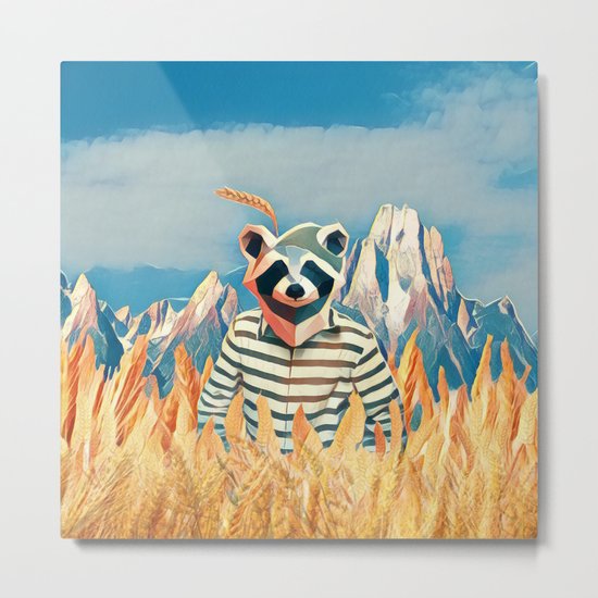 Raccoon in the wheat field Metal Print