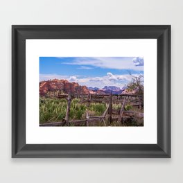 Spring Flowers - NW Zion National Park, Utah Framed Art Print