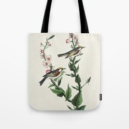 Chestnut-sided Warbler from Birds of America (1827) by John James Audubon Tote Bag