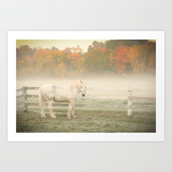 A Horse With No Name Art Print