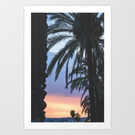 Palm Trees in France/ French Riviera/ Travel Photography/ Art Print Art Print