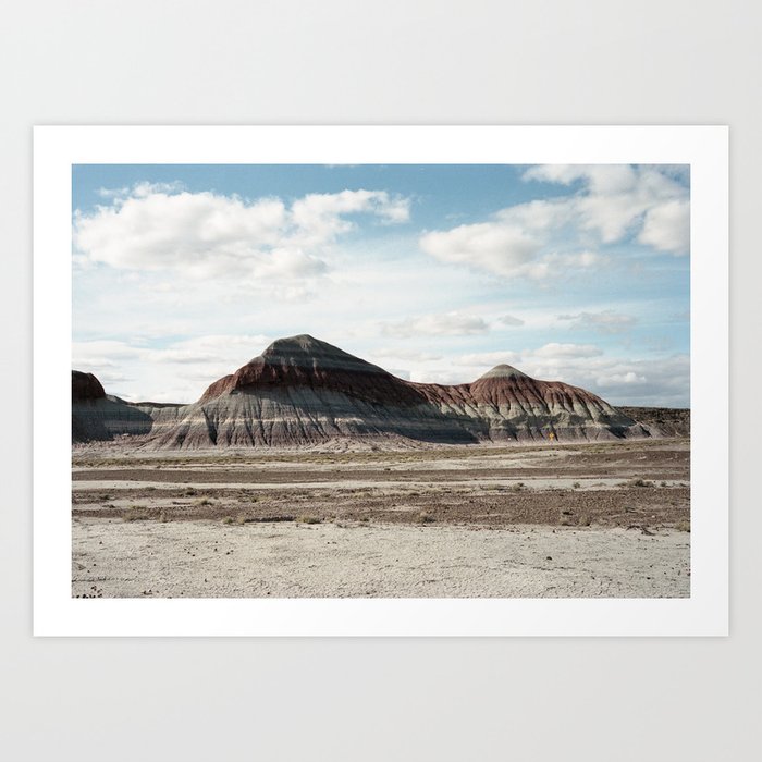 Layers of the Petrified Forest (35mm Film) Art Print