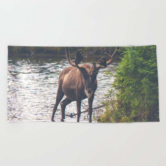 Moose in the River (Forest Wildlife) Beach Towel