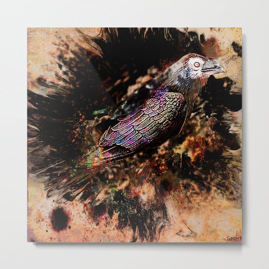 Crow in the dark Metal Print