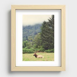 Elk in California Recessed Framed Print