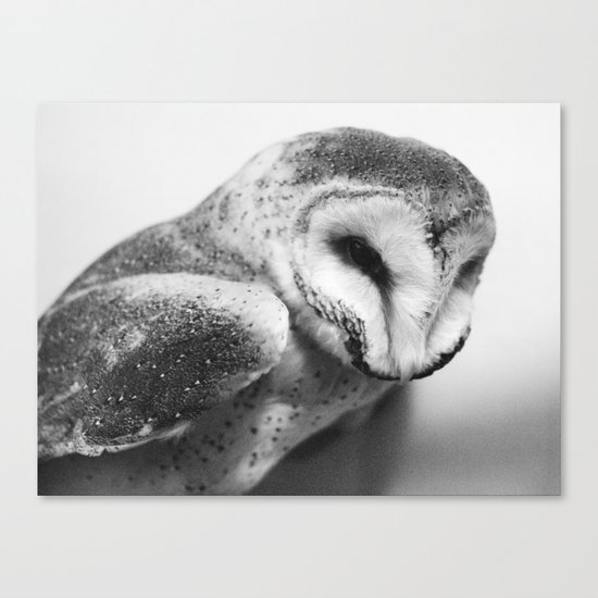 Hoot Canvas Print