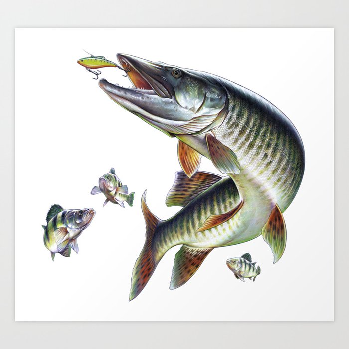 Musky Fishing Art Print by Salmoneggs