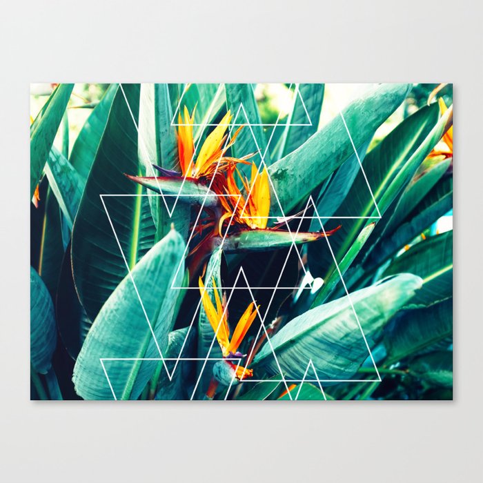 Modern White Geometric Triangle Tropical Bird Of Paradise