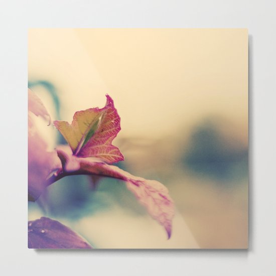 Warmth Metal Print