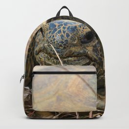 Gopher Tortoise Backpack