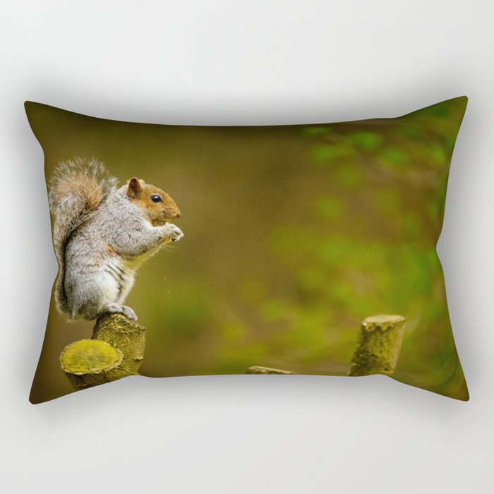 Cute Squirrel (Color) Rectangular Pillow
