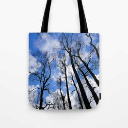 Birch Tree Perspective Scottish Highlands Style in I Art and Afterglow Tote Bag