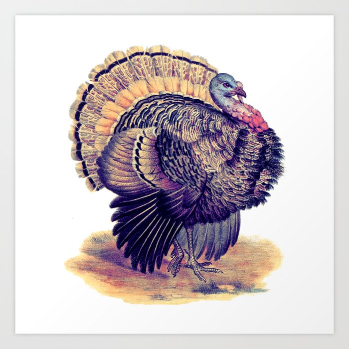 Vintage Turkey Art Print