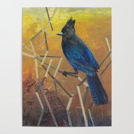 Blue Stellar's Jay No 2 (with Folded Follage) Poster