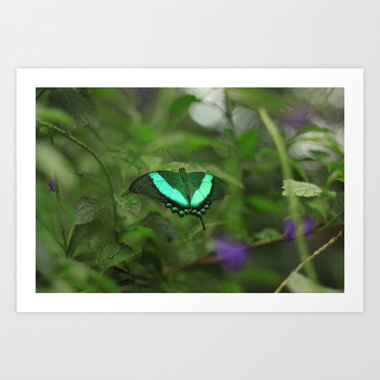 Emerald Beauty Art Print
