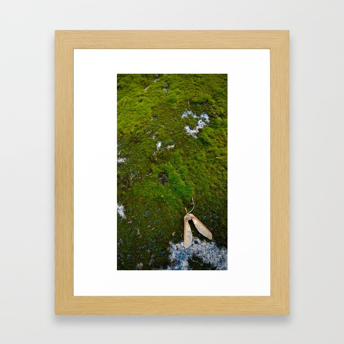 Moss Landing Framed Art Print