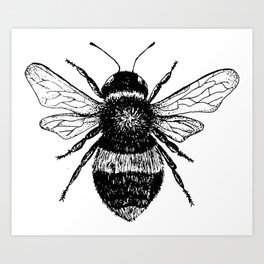 Vintage Bee Art Print