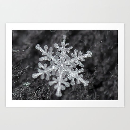 Snowflake Closeup #1 Art Print