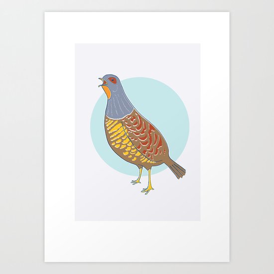 Swinhoe's Pheasant Art Print
