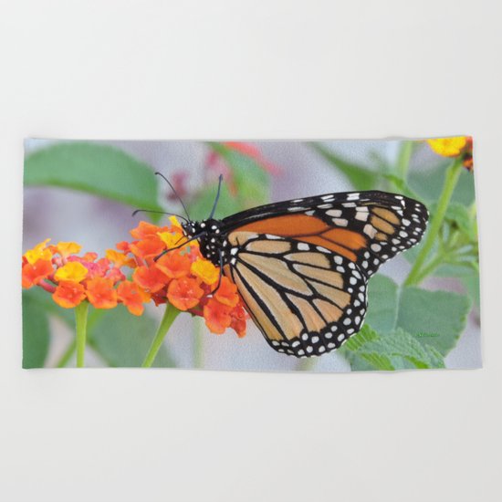The Monarch Has An Angle Beach Towel