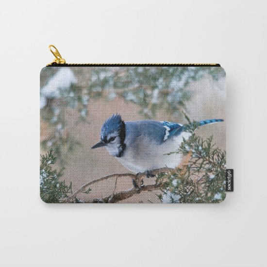 Hunkered Down (American Blue Jay) Carry-All Pouch
