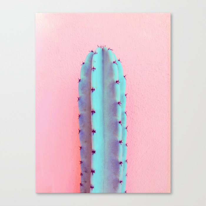 Candy Lonely Cactus Canvas Print