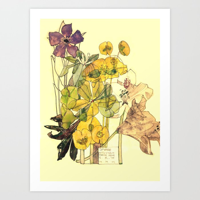 Charles Rennie Mackintosh Flowers Plants 5 Art Print By Alexandra Arts