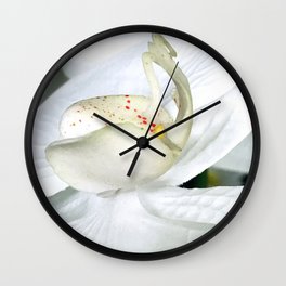 Ivory White Silk Flower Close-Up Photo Wall Clock | Photo, Ivoryflower, Ivorysilkflower, Epicflowerart, Glamsilkflower, Chicfloralart, Elegantfloralart, Dec02, Silkflowermacro, Flowerartgifts 