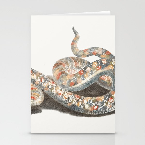 A Snake  Stationery Cards