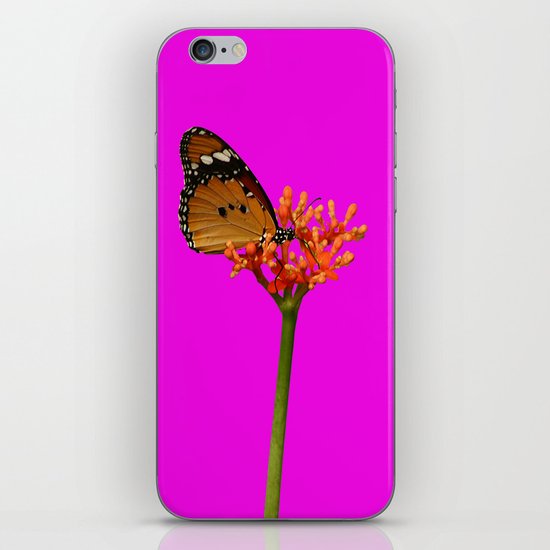 African Monarch in Pink iPhone & iPod Skin