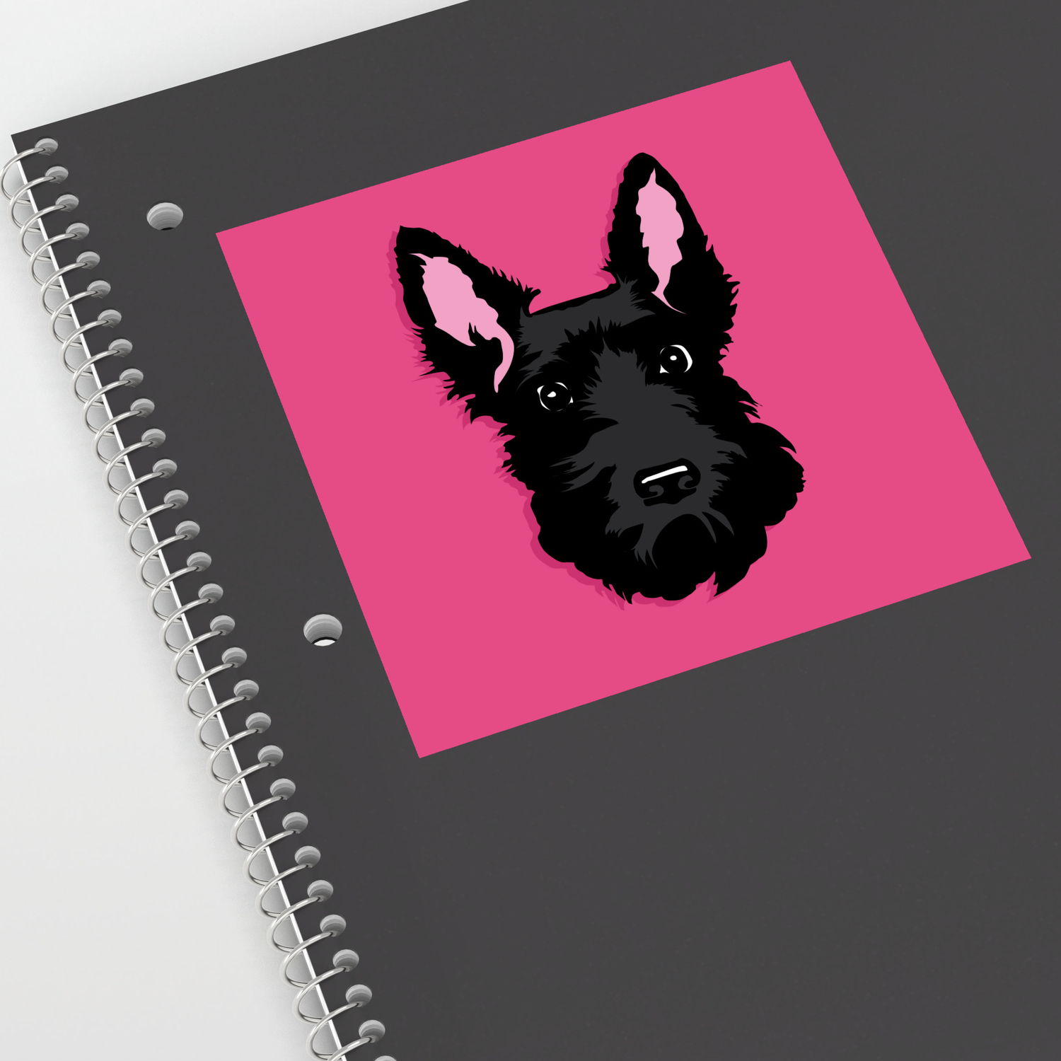 Black Scottie Dog On Pink Background Sticker By Papermoonprojects Society6
