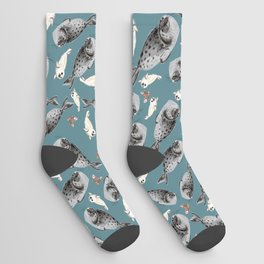 Common seal Socks