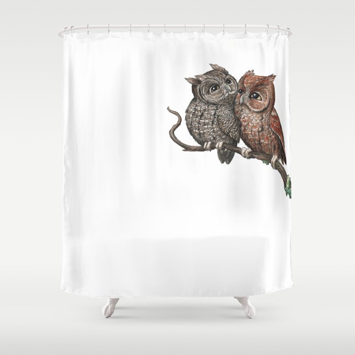 Eastern Screech Owl (Megascops asio) Shower Curtain