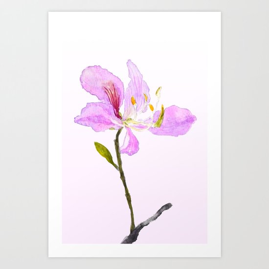 purple Buahinia Art Print