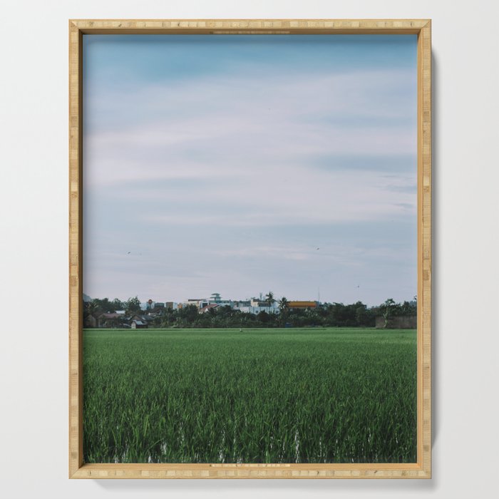 afternoon view near rice fields Serving Tray