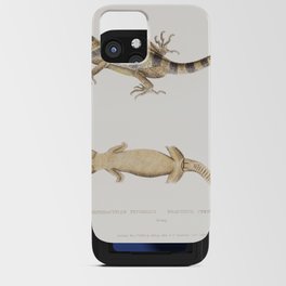 Beautiful Cyrtodactylus (Cyrtodactylus pulchellus) iPhone Card Case