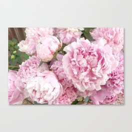 Pink Shabby Chic Peonies - Garden Peony Flowers Wall Prints Home Decor Canvas Print