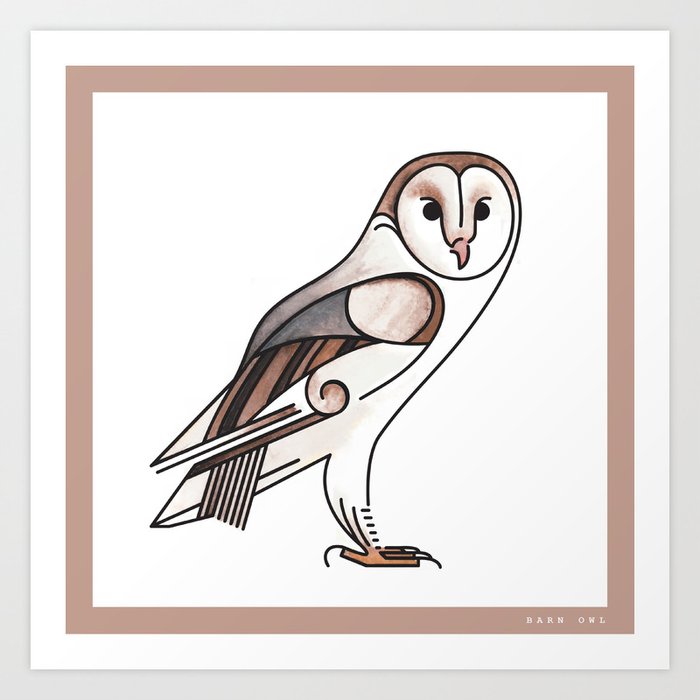 Barn Owl Art Print By Stevenscottcreative Society6