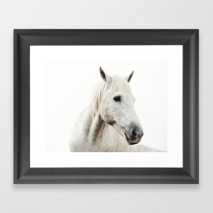 White Horse - Minimalist Nature Photography Framed Art Print