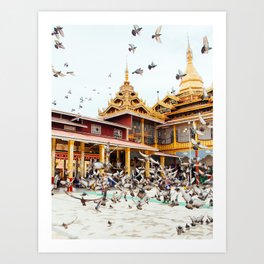 Pigeons descend on Buddhist Temple in Burma Fine Art Print Art Print