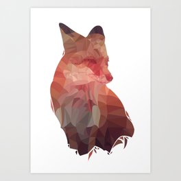 Fox Illustration Art Print