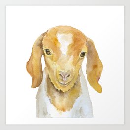 Nubian Goat Head Watercolor Art Print By Susanwindsor Society6