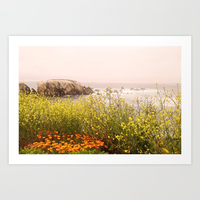 Coastal Wildflowers Art Print