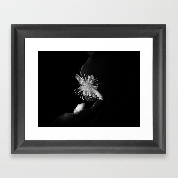 Minimalistic Black and white photography of a cactus flower Framed Art Print