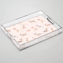Sphynx Cats - No Furr Don't Care - Cat Pink Acrylic Tray