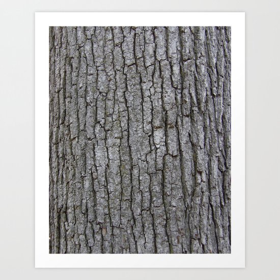 white oak bark Art Print